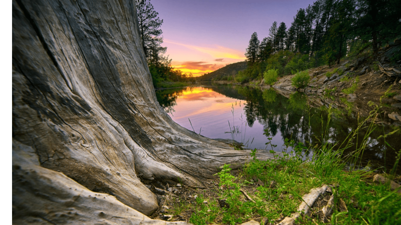 Sunset over river with tree and reflections.