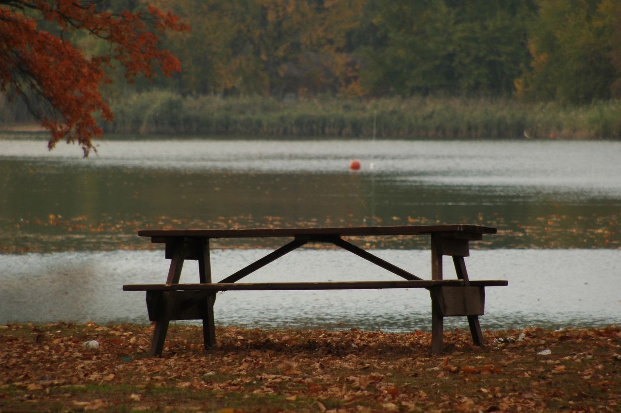 Picnic table by a serene lakeside.